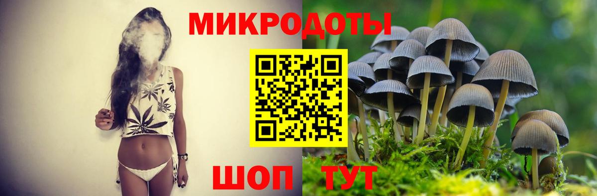 Галлюциногенные грибы Psilocybe Владимир